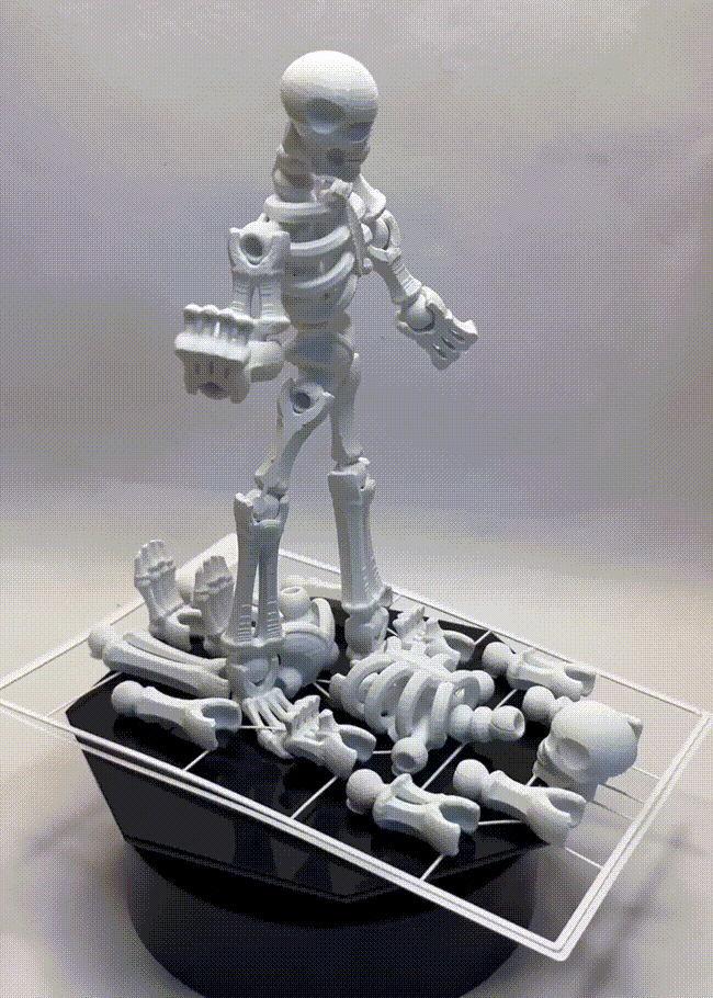 The Bare Bones Project: Anatomy Assembly Kit