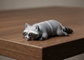 Raccoon
