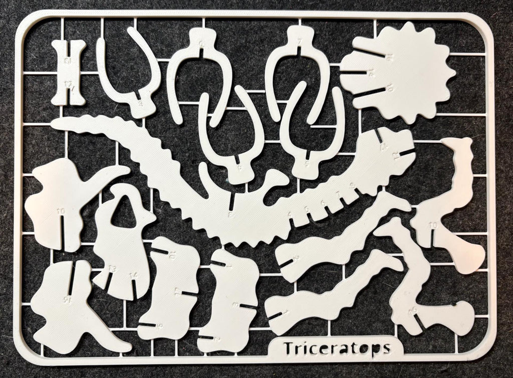 The Armored Division: DIY Triceratops Kit