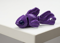 Beta Fish